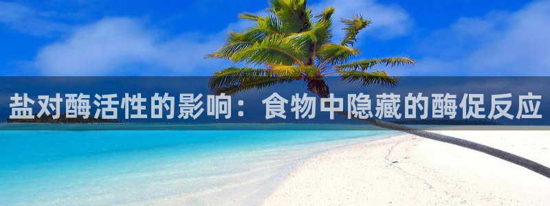 威九国际官方入口官网