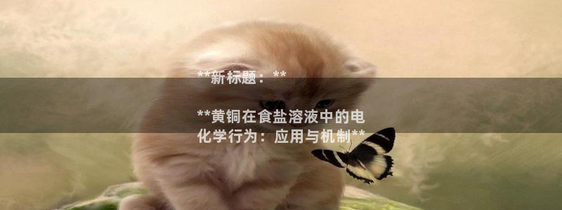威九国际下载官网app