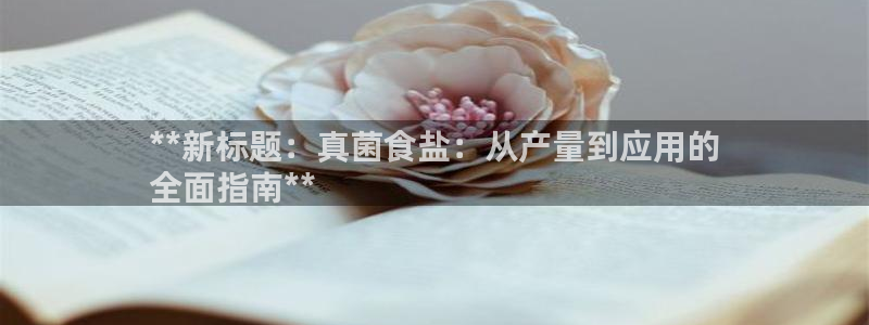 保定威九网络科技有限公司怎么样
