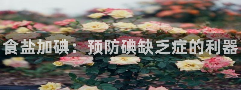 威九国际免费游戏