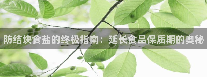 威九国际清砖码头怎么样