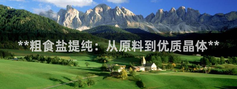 威九国际官方入口官网