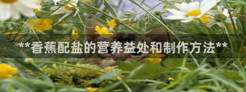 威九国际78mb玩法