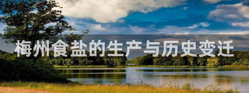 威九国际小说