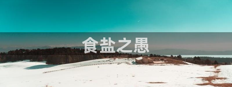 威九国际H