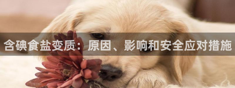 威九国际网站链接