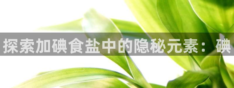 威九国际客服电话