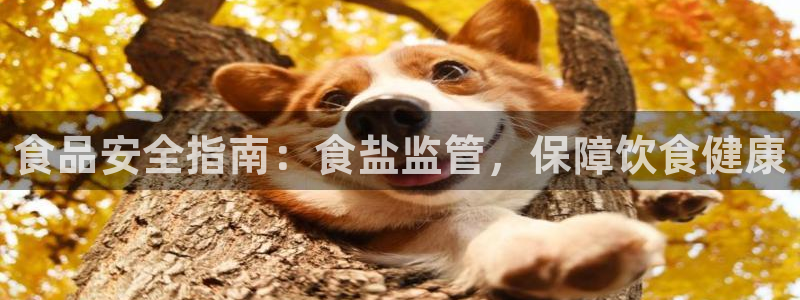 威九国际清砖码头怎么样