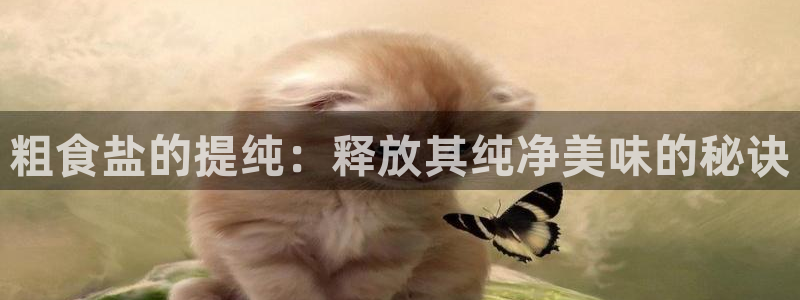 威九国际m78