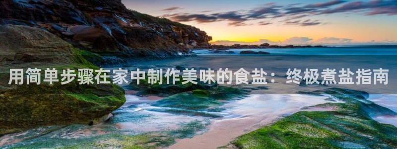 威九国际H