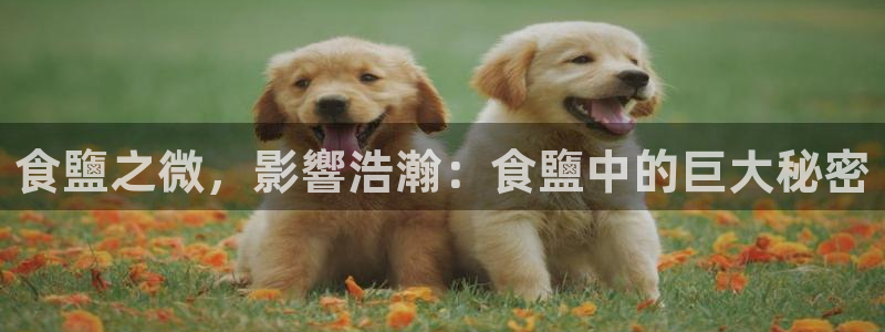 威九国际官方入口官网