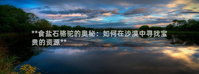 威九国际H