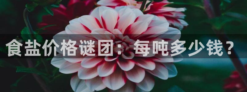 威九国际66m免费下载