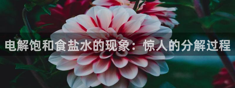 威九国际可以退钱吗怎么退款