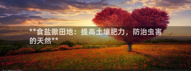 威九国际66cm
