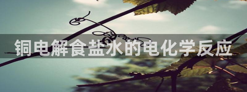 威九国际宣传片