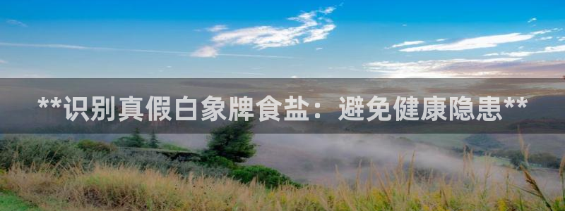 威九国际安全吗