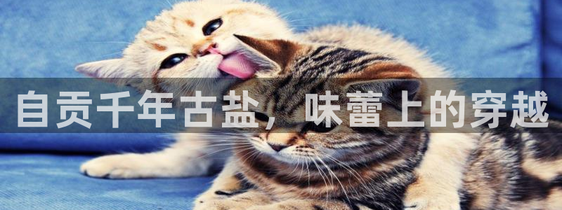 威九国际演员2023年最新作品
