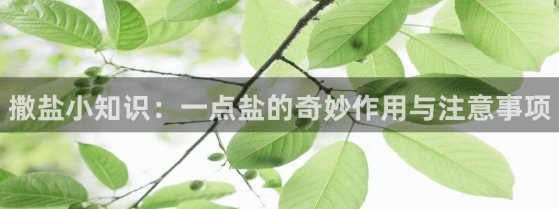 威九国际可以退钱吗怎么退款