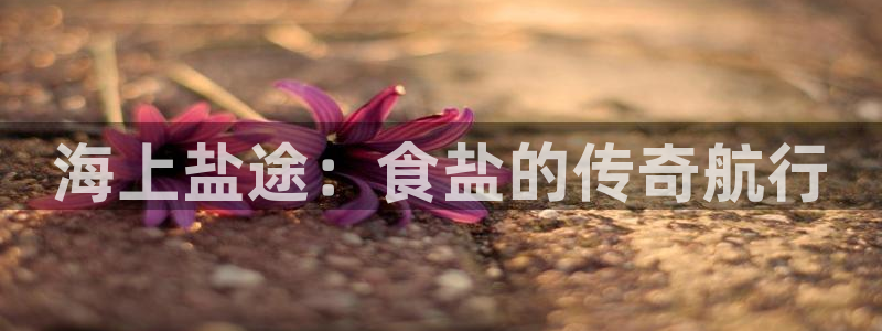 威九国际78mb官网版