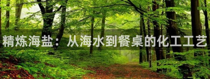 威九国际app哪个地方