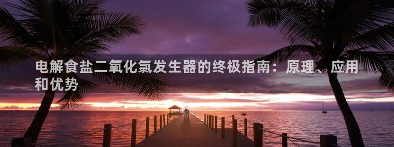 威九国际PPT