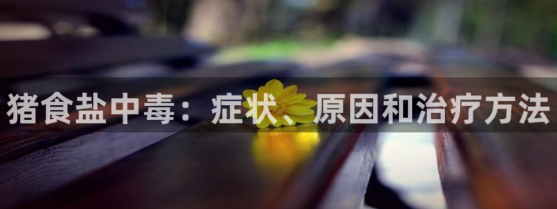 威九国际客服电话