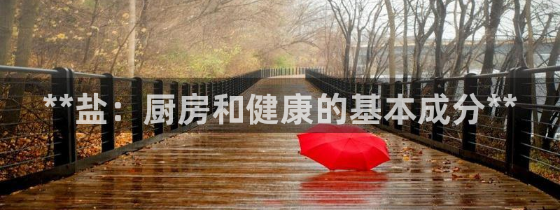 威九国际电子有限公司