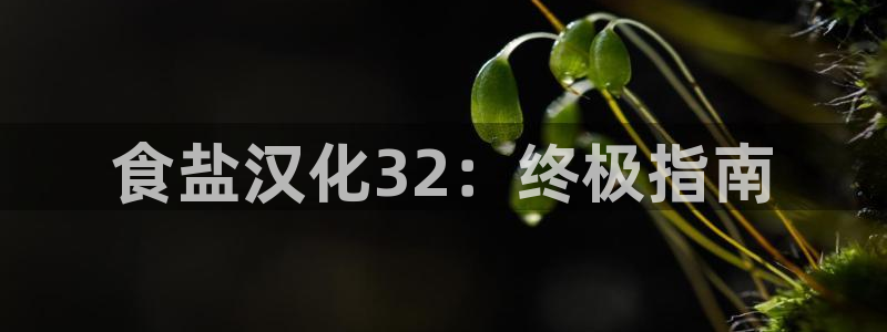 威九国际ppt免费吗