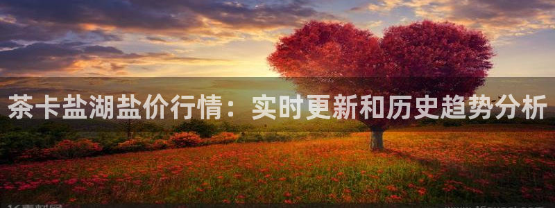 威九国际官网在线进入网站查询网址
