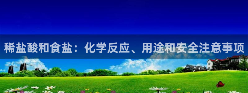 威九国际H