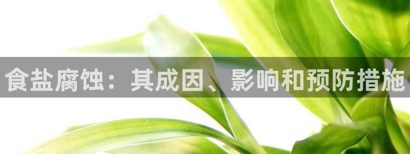 威九国际app哪个地方