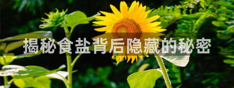 威九国际78mb下载