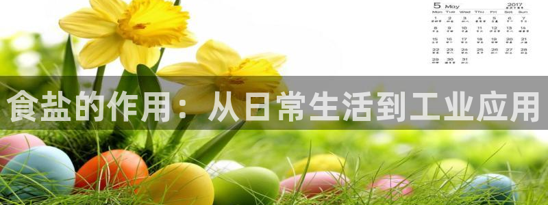 威九国际78m小说