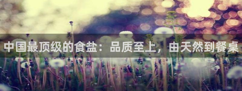 威九国际网站入口地址在哪里