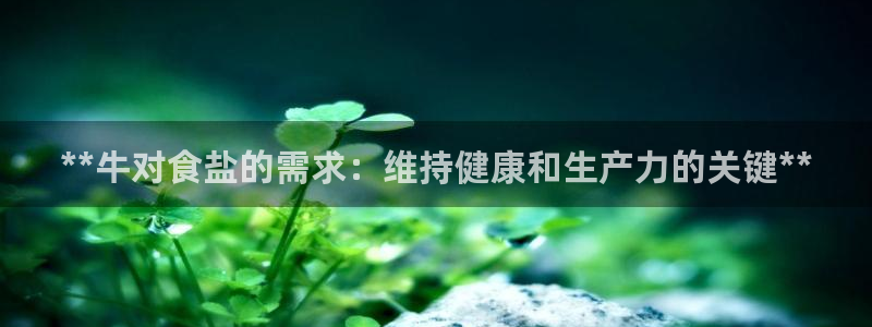 威九国际78mb 视频
