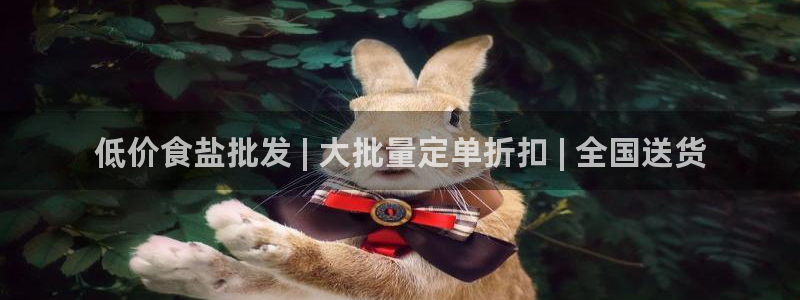 威九国际A