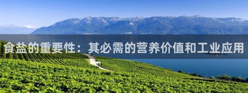 威九国际网站入口官网免费