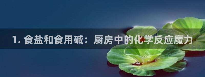 威九国际网站下载