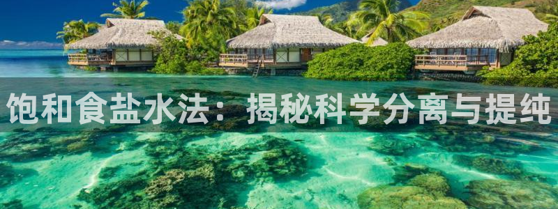 威九国际在线平台怎么样啊