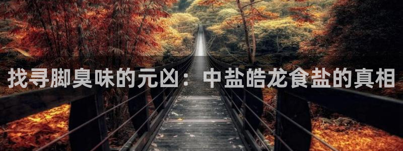 威九国际网站入口地址