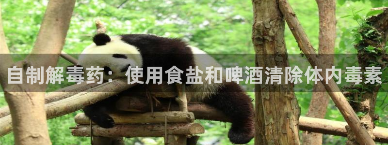 威九国际app网站官网