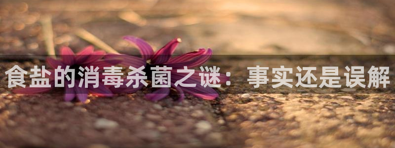 威九国际小广告
