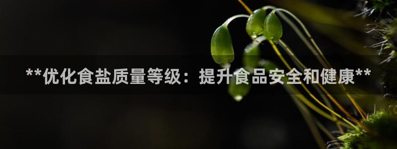 威九国际天美
