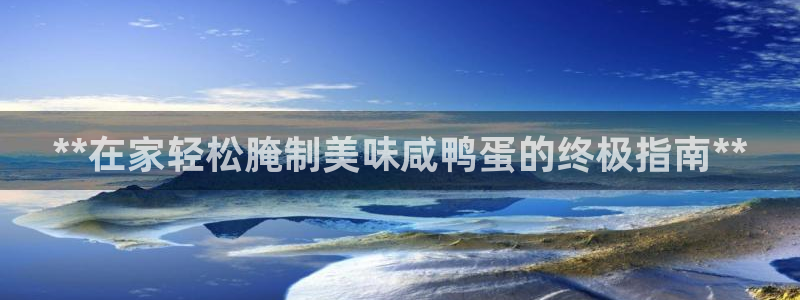 威九国际X8