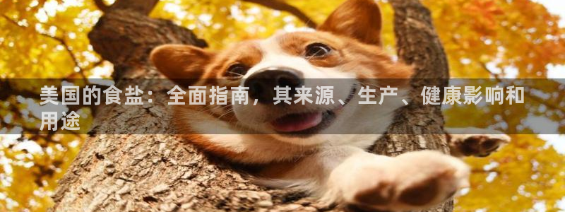 威九国际78mob官网版