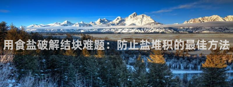 威九国际H