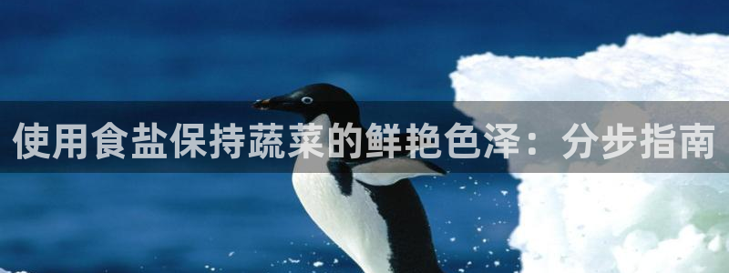 威九国际女主名字
