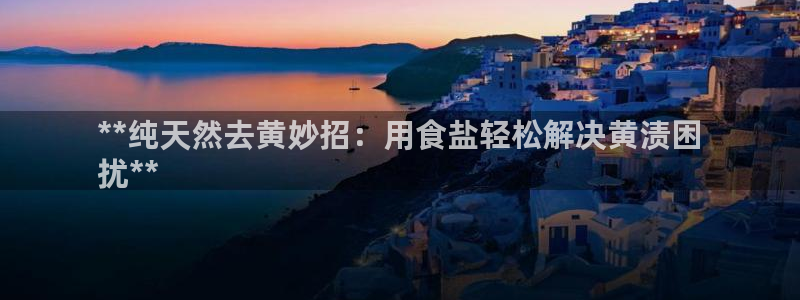 威九国际H