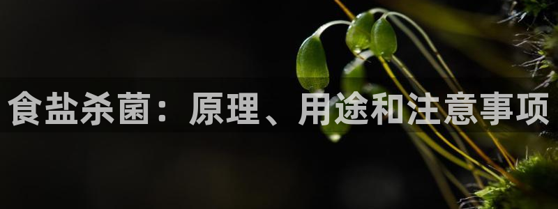 威九国际系列
